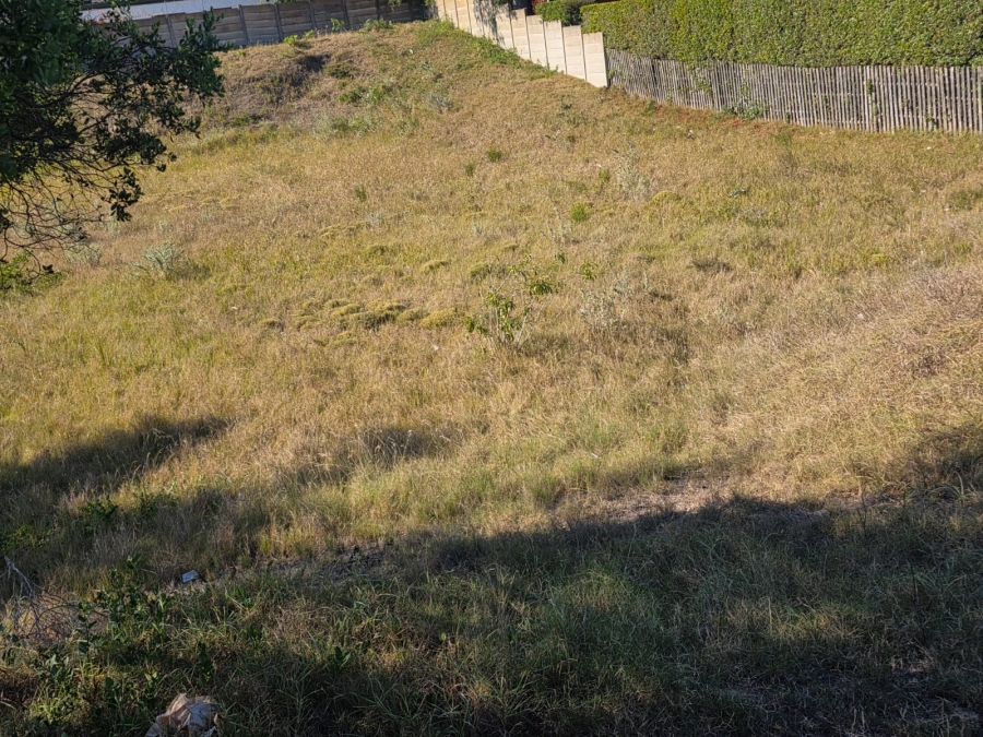 0 Bedroom Property for Sale in Sedgehill Western Cape